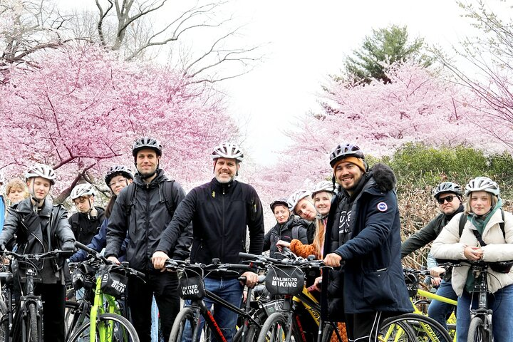 Washington DC Cherry Blossoms By Bike Tour - Photo 1 of 10